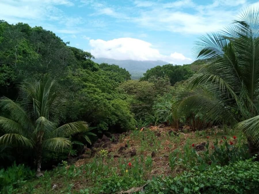 Eco Lodge El Porvenir