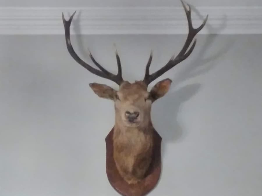 Greenland House B&B
