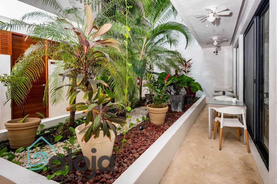 Zendero Tulum