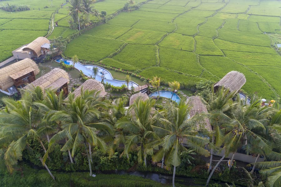 Beehouse Dijiwa Ubud