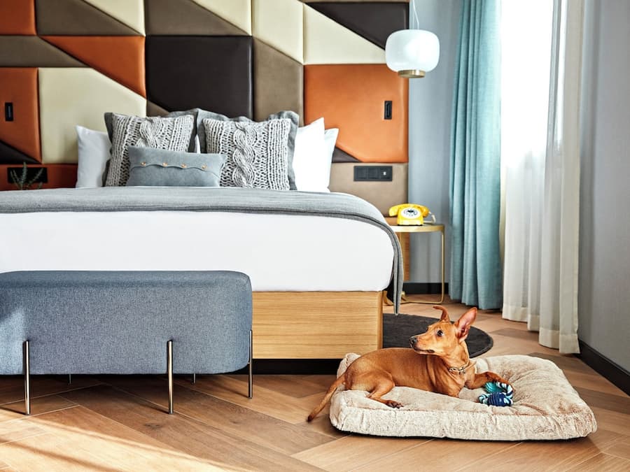 Kimpton Vividora Hotel by IHG
