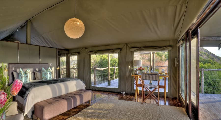 HillsNek Safari Camp - Amakhala Game Reserve