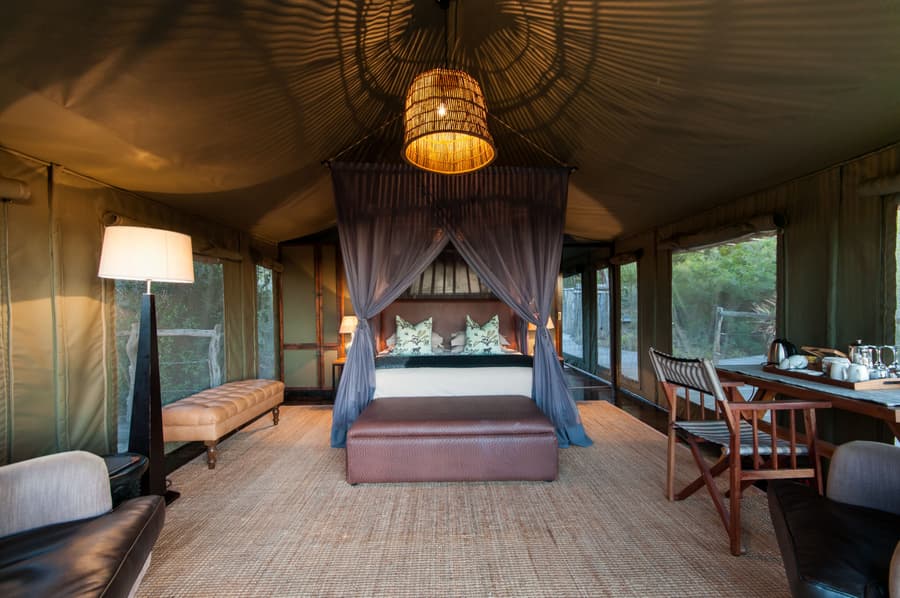HillsNek Safari Camp - Amakhala Game Reserve