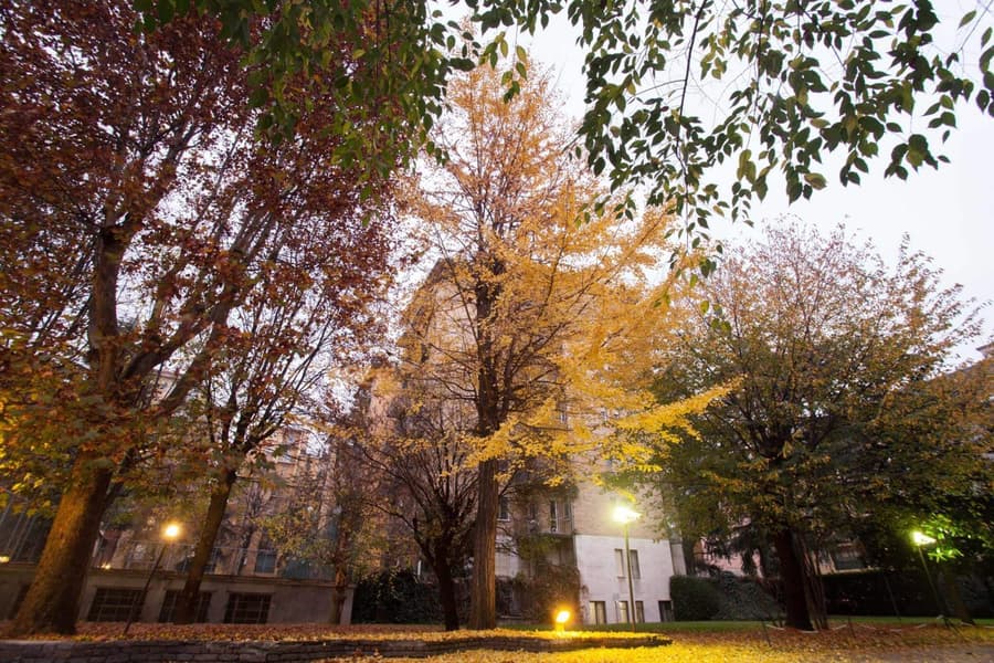 IH Hotels Milano ApartHotel Argonne Park