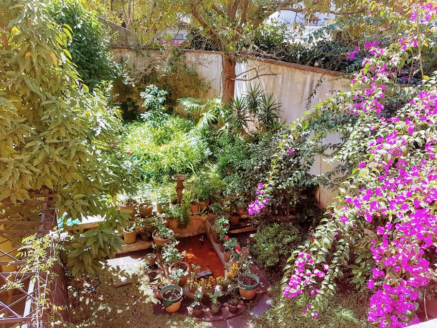 Casa Carmel Bed and Breakfast