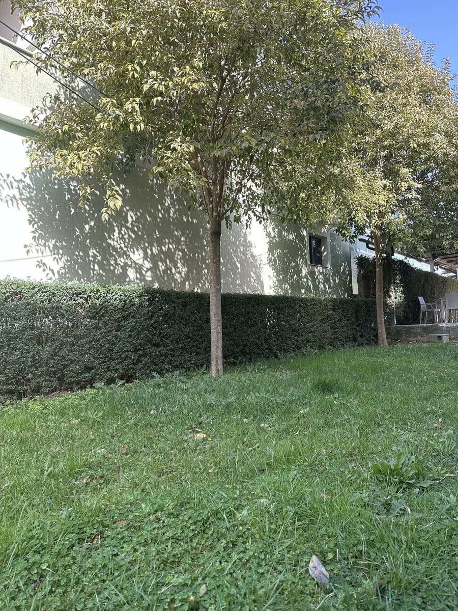 ALBON Park