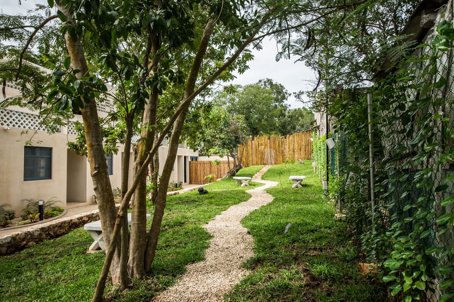 Waye Valladolid Centro – Sustainable, Authentic Experiences & Pet Friendly Boutique Hotel