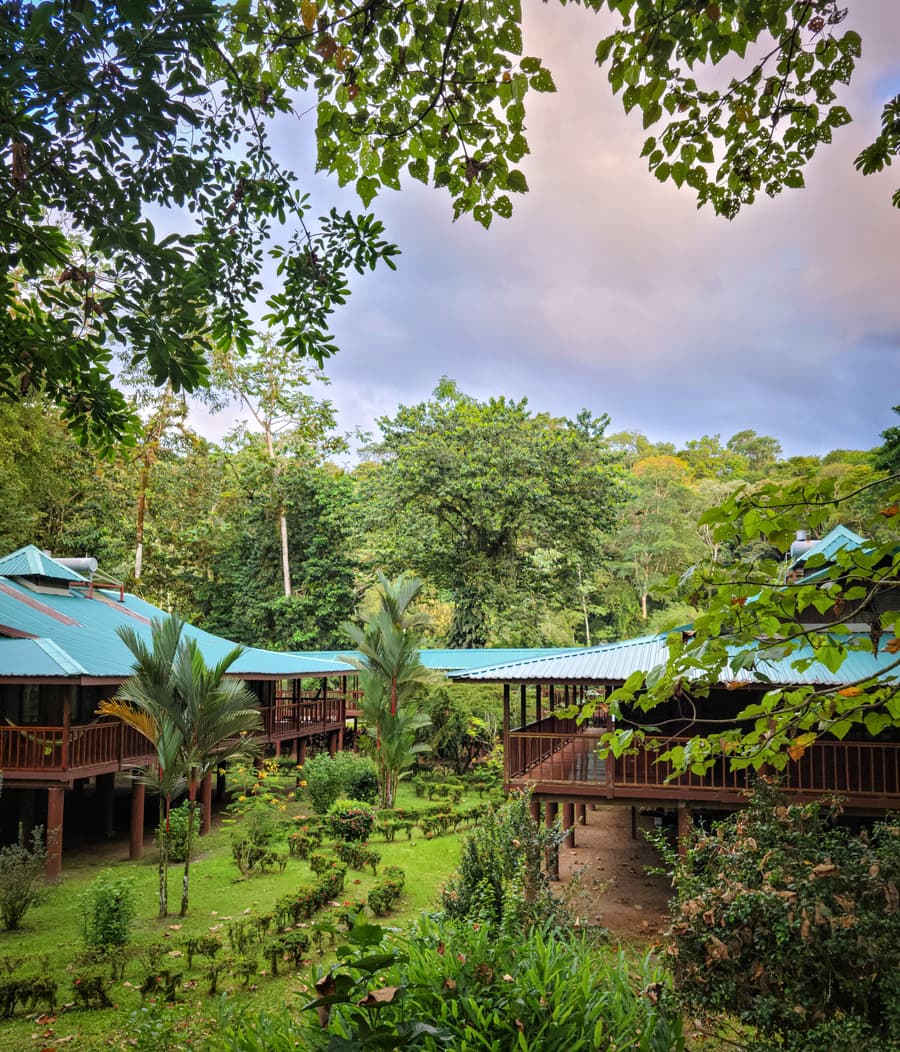 Selva Verde Lodge