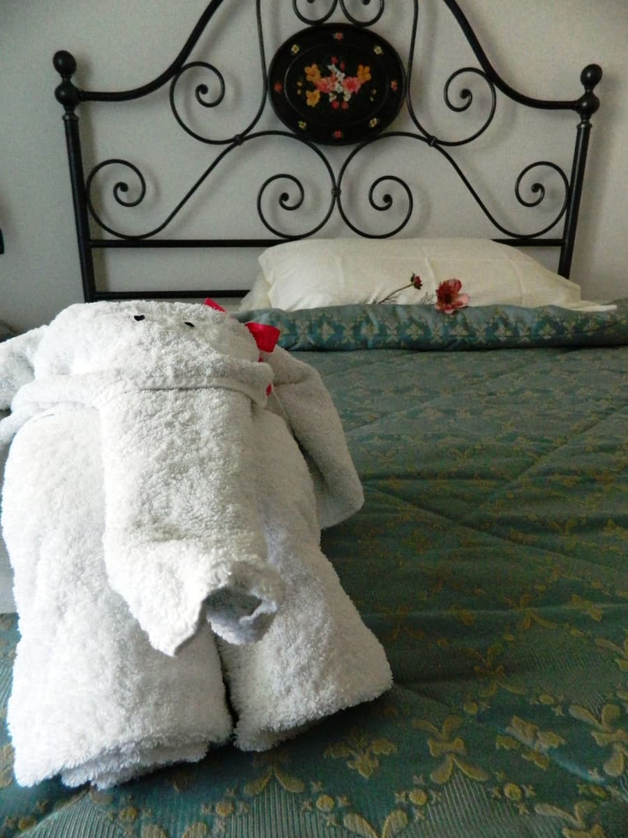 Hotel Oasi