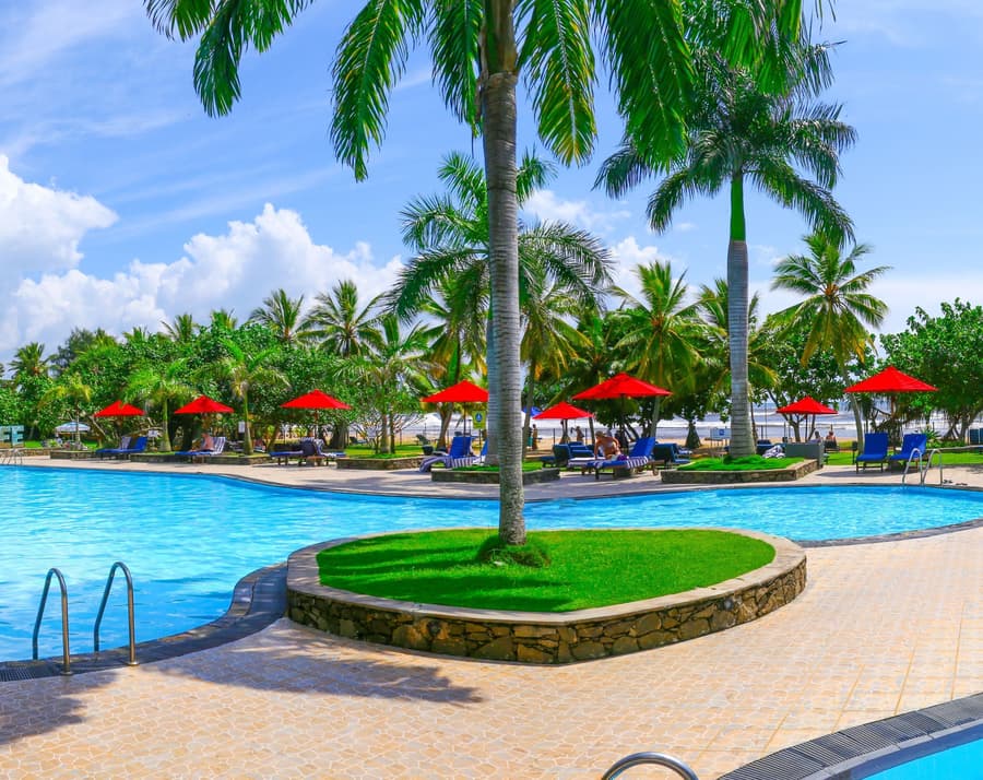 The Palms