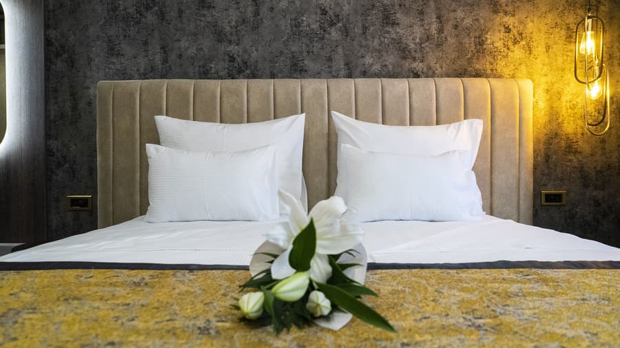 Hotel Pasha