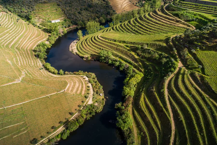 Vila Gale Douro Vineyards Hotel