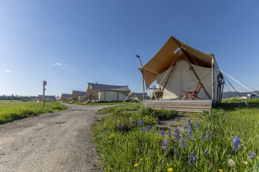 Under Canvas West Yellowstone