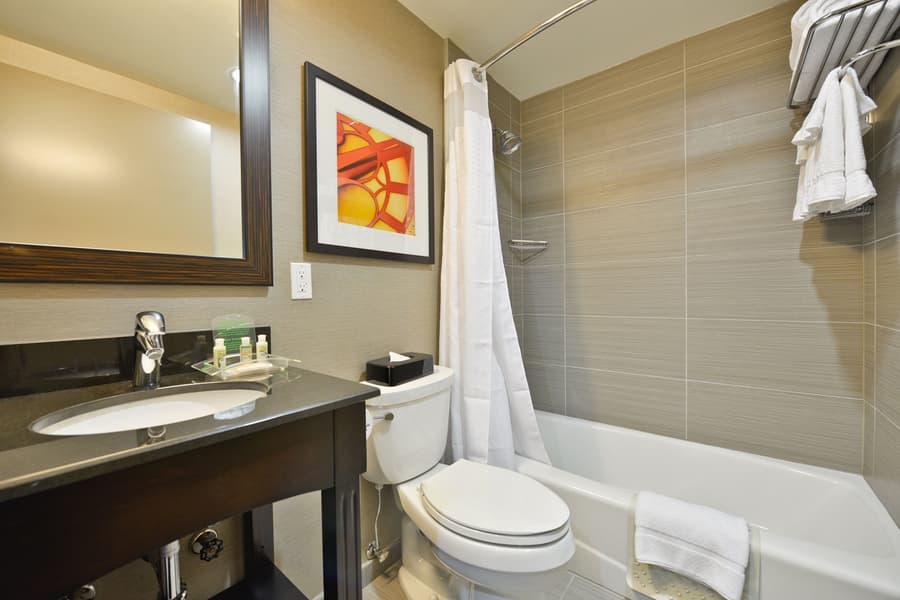 Holiday Inn NYC - Lower East Side by IHG