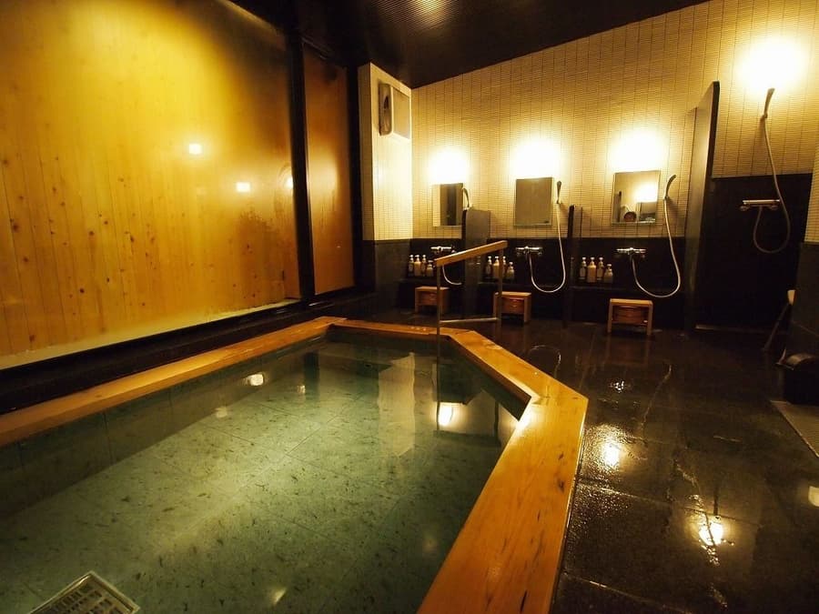 Ochanomizu Hotel Shoryukan