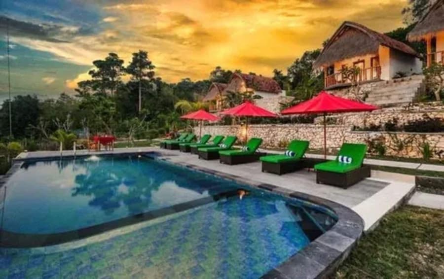 NG Sweet Home