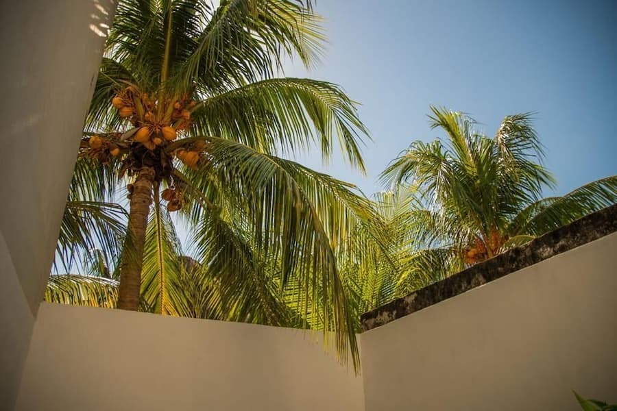 Hotel Mayari Holbox