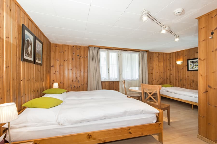 Hotel Alpina