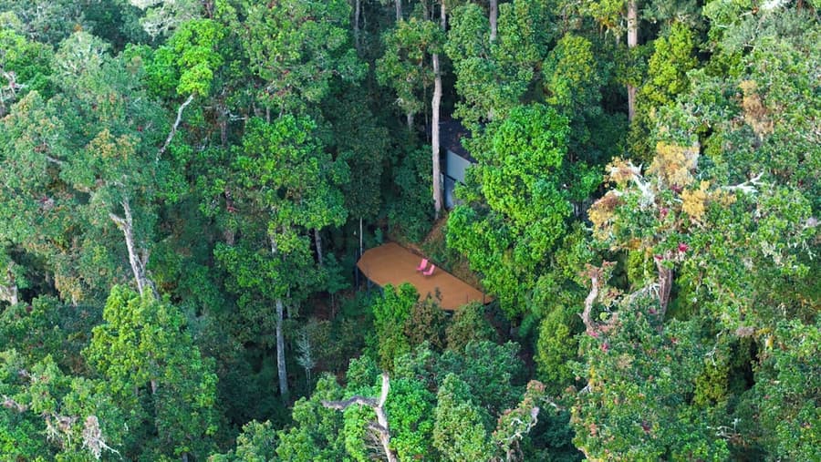 Dantica Cloud Forest Lodge
