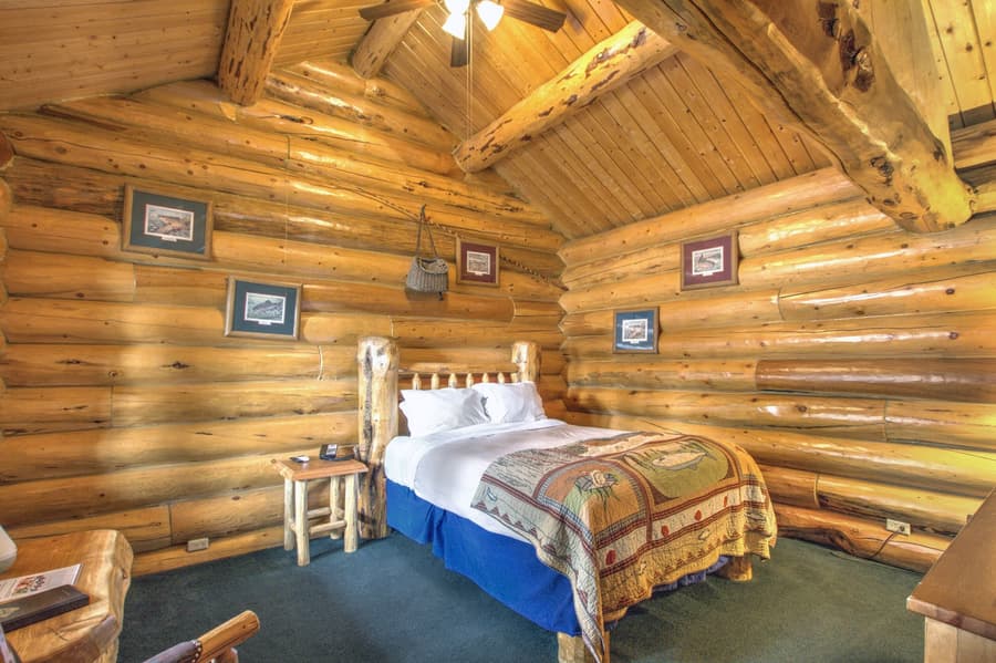 The Hibernation Station