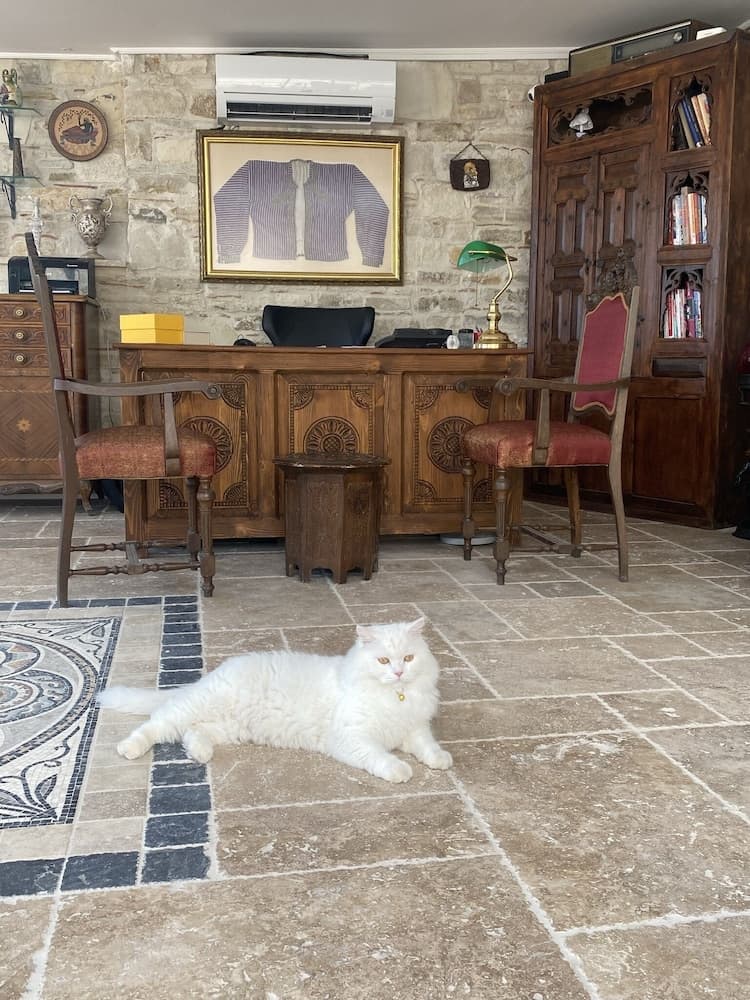 Villa Ephesus Hotel