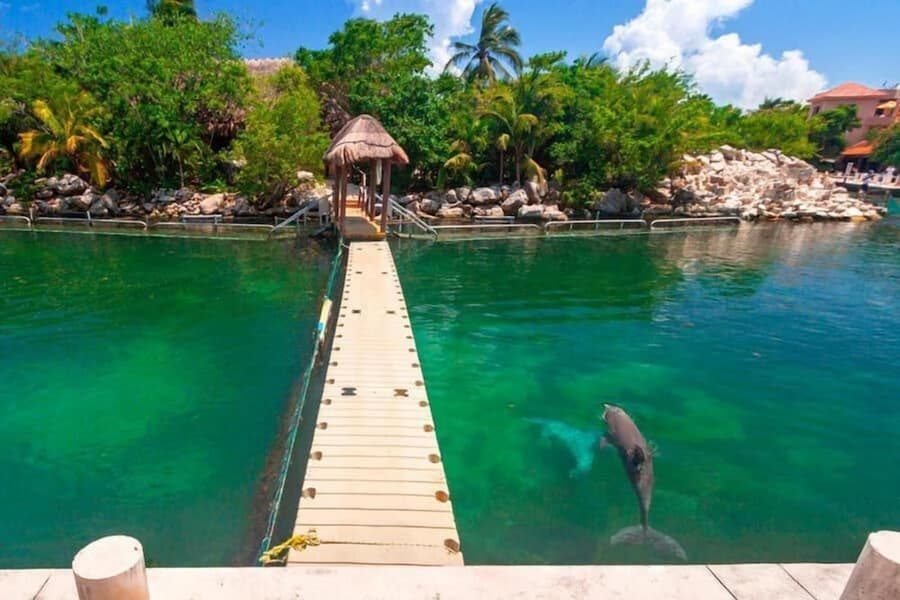Modern Studio Puerto Aventuras 202