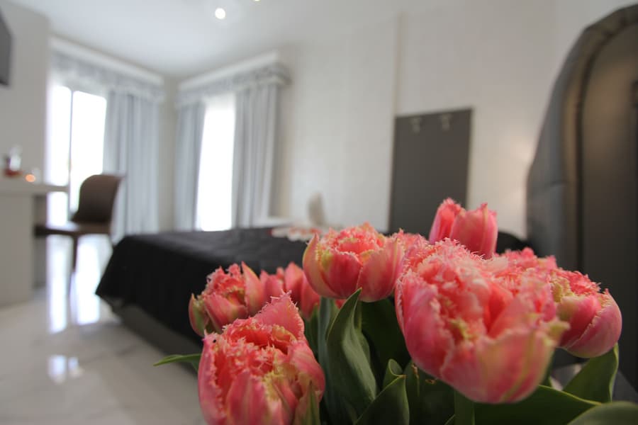 Hotel Presidente