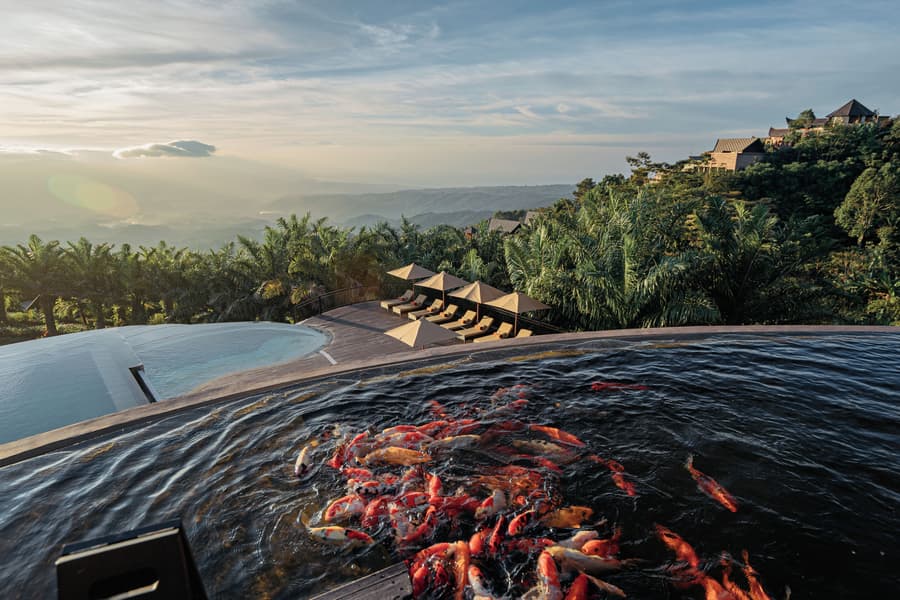 Elevate Bali