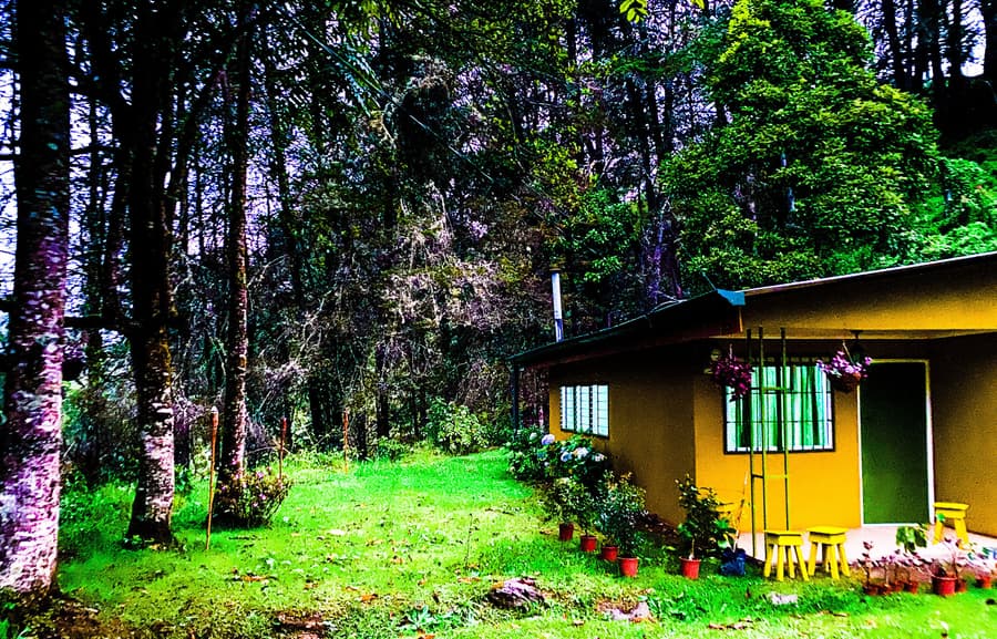River Nest Lodge Costa Rica