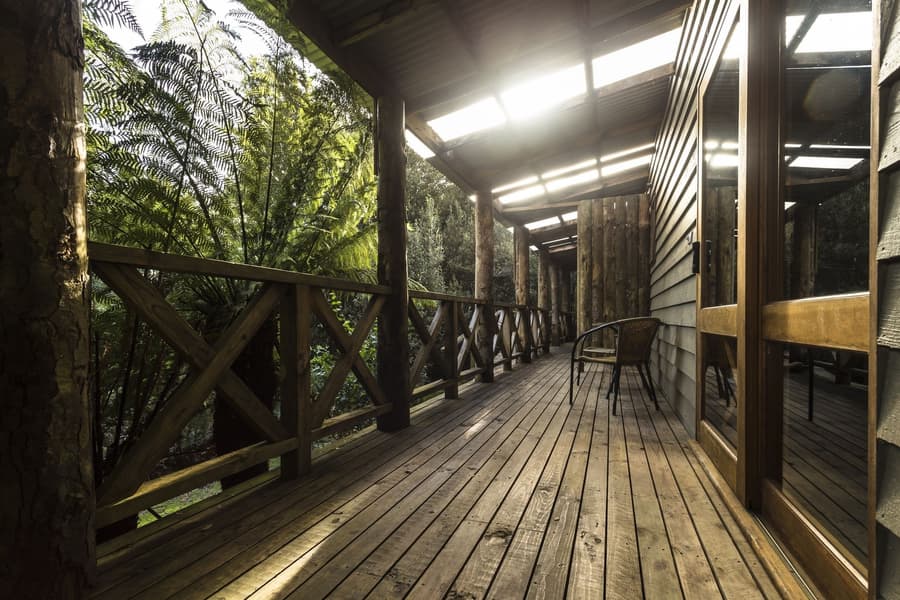 Cradle Forest Inn