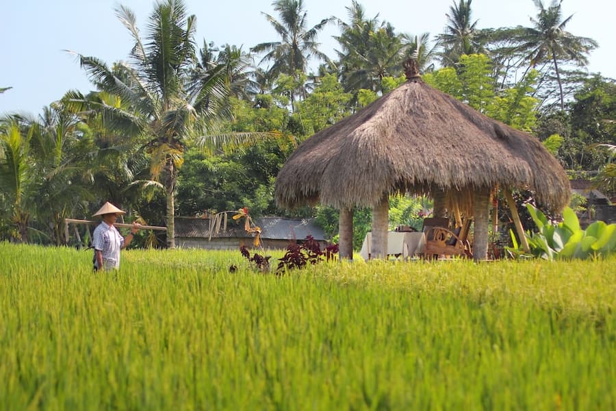 MATHIS Retreat Ubud