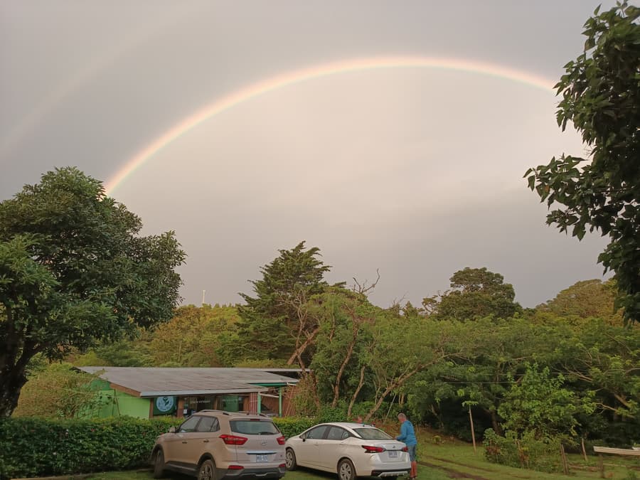 The Green Tree Lodge