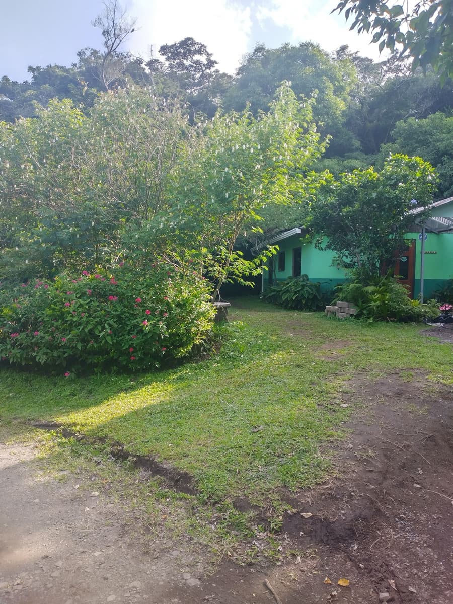 The Green Tree Lodge