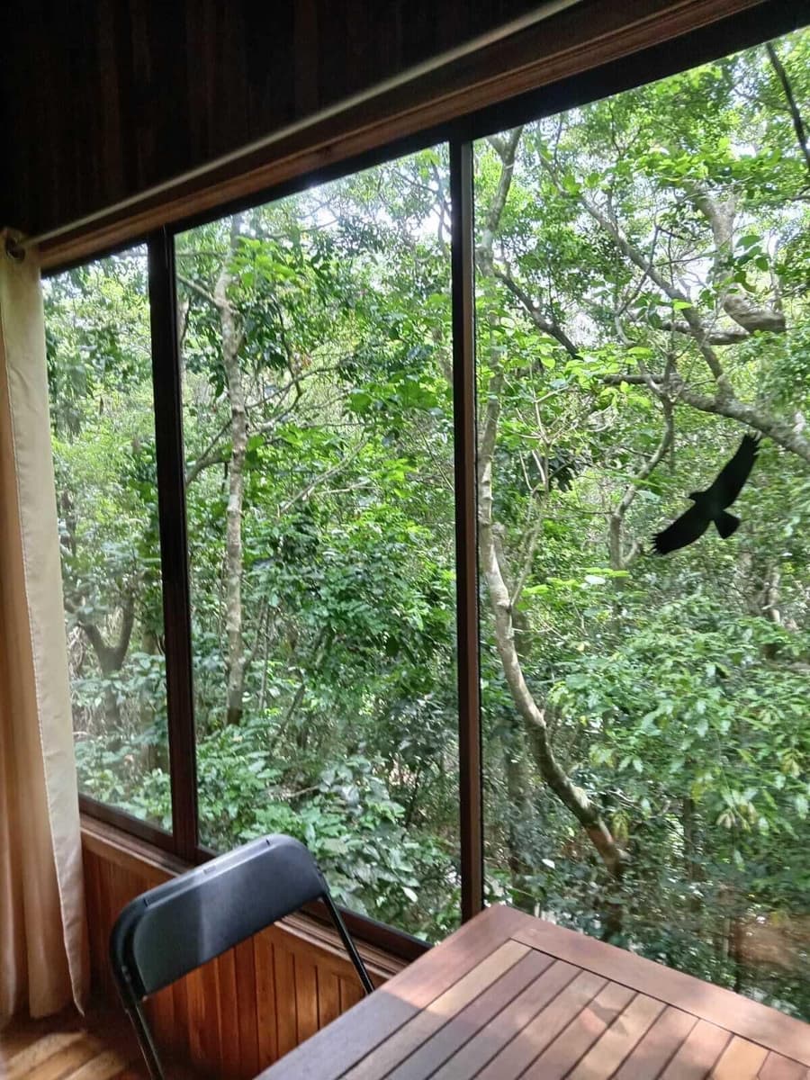 The Green Tree Lodge