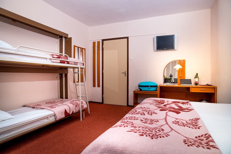 Owl Hotel