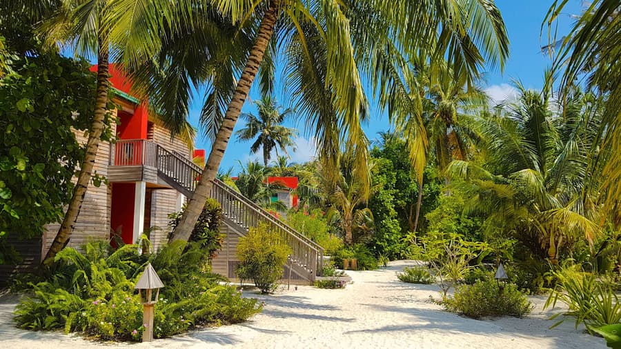The Barefoot Eco Hotel