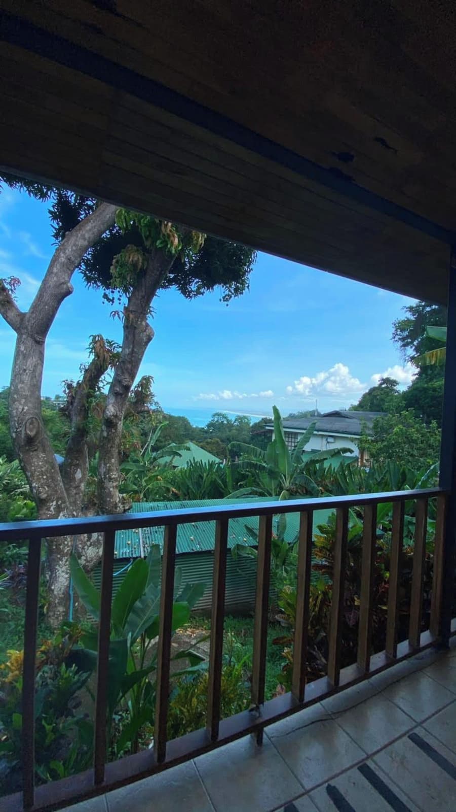 Hotel Planeta Sano