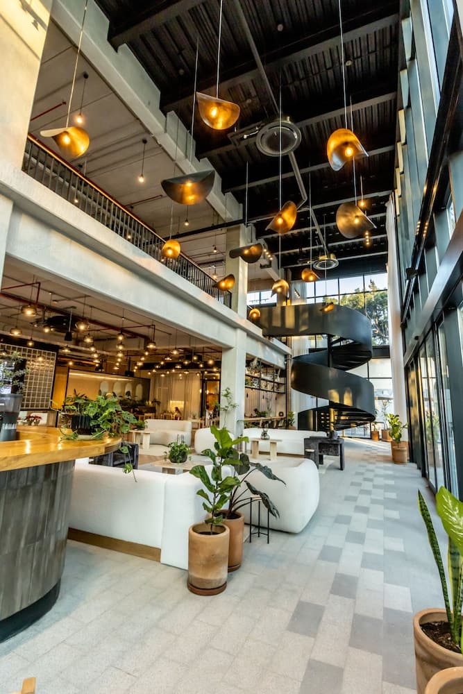 Hotel Mutuo Vive