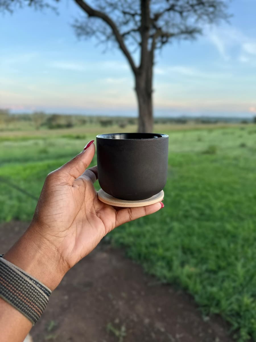 Anantya Serengeti