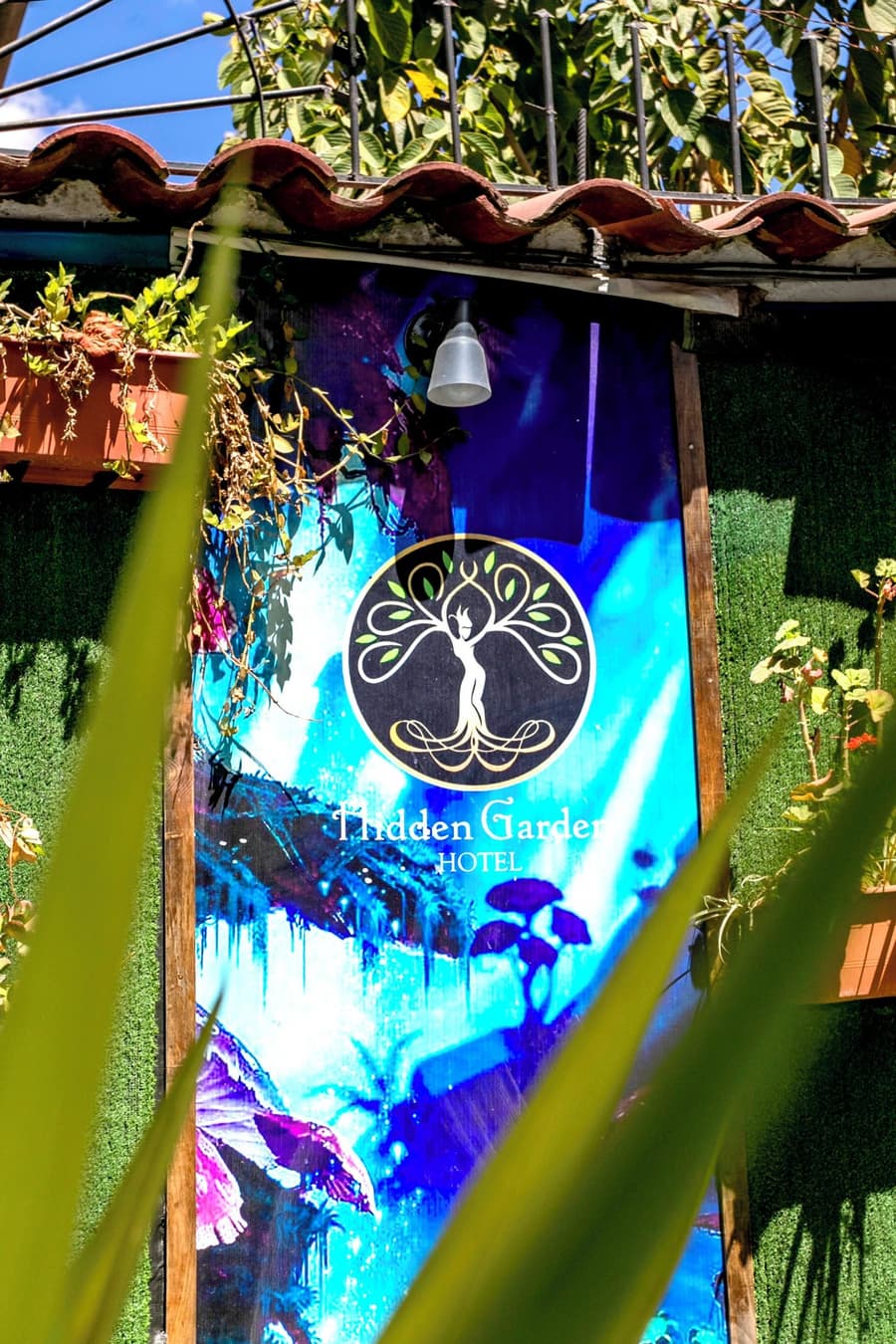Hidden Garden