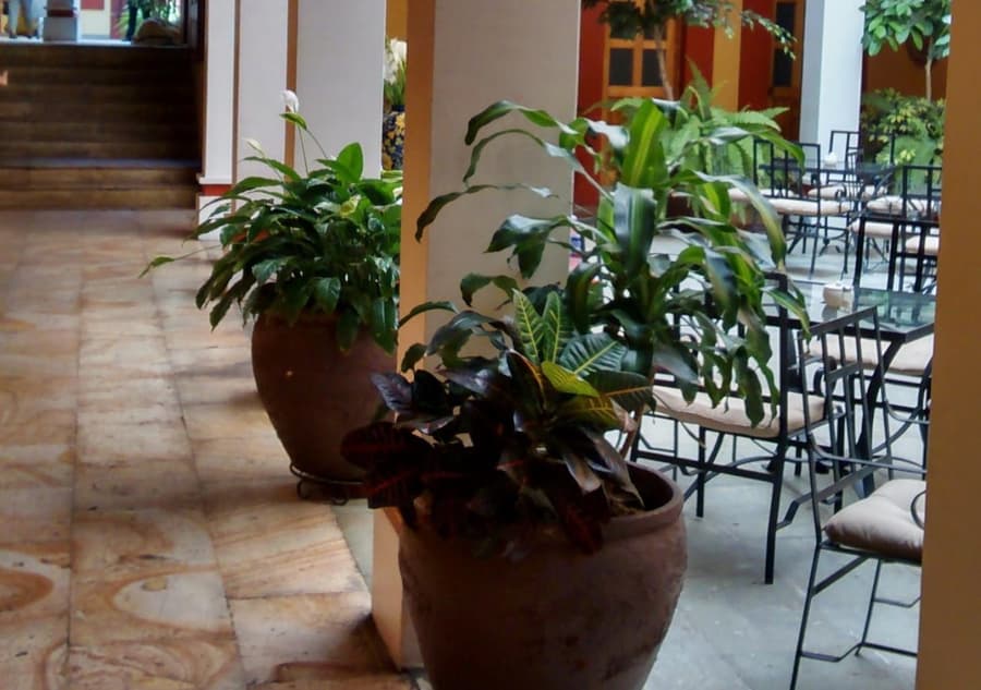 Aitana