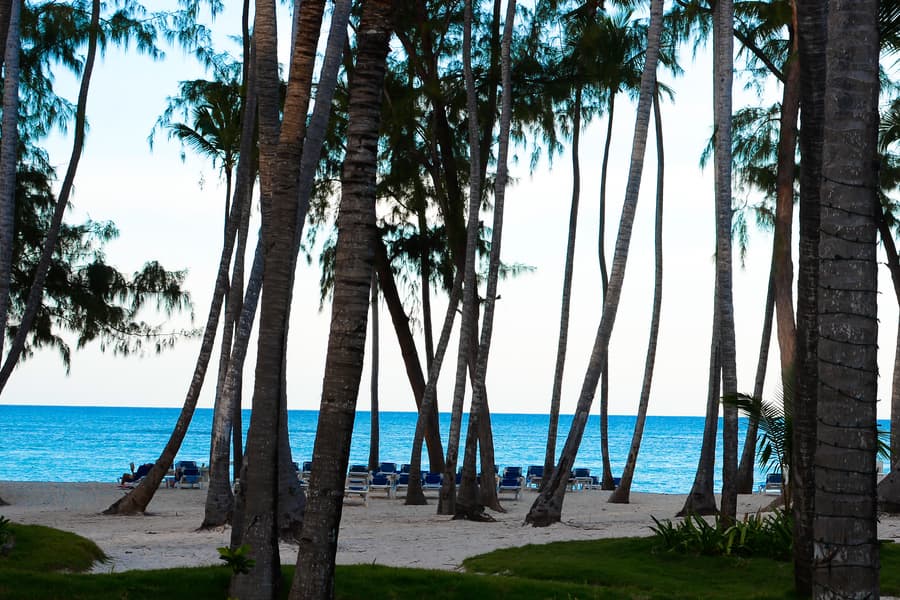Vista Sol Punta Cana Beach Resort & Spa