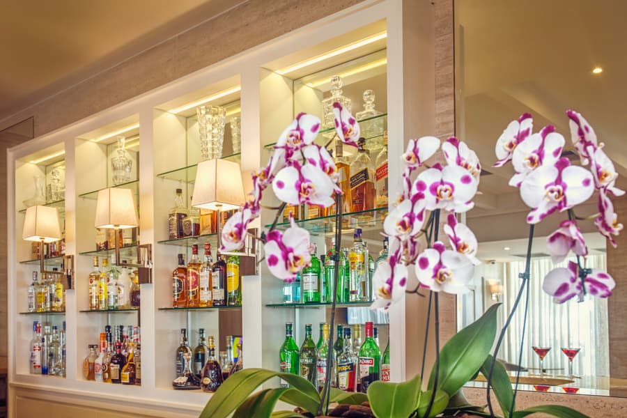 Windsor California Copacabana Hotel