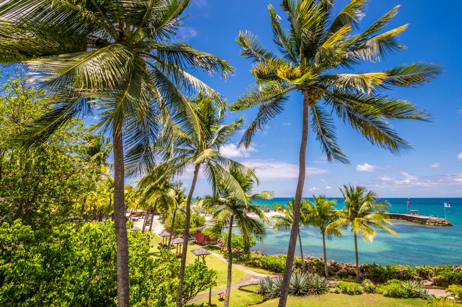 La Creole Beach Hotel & Spa