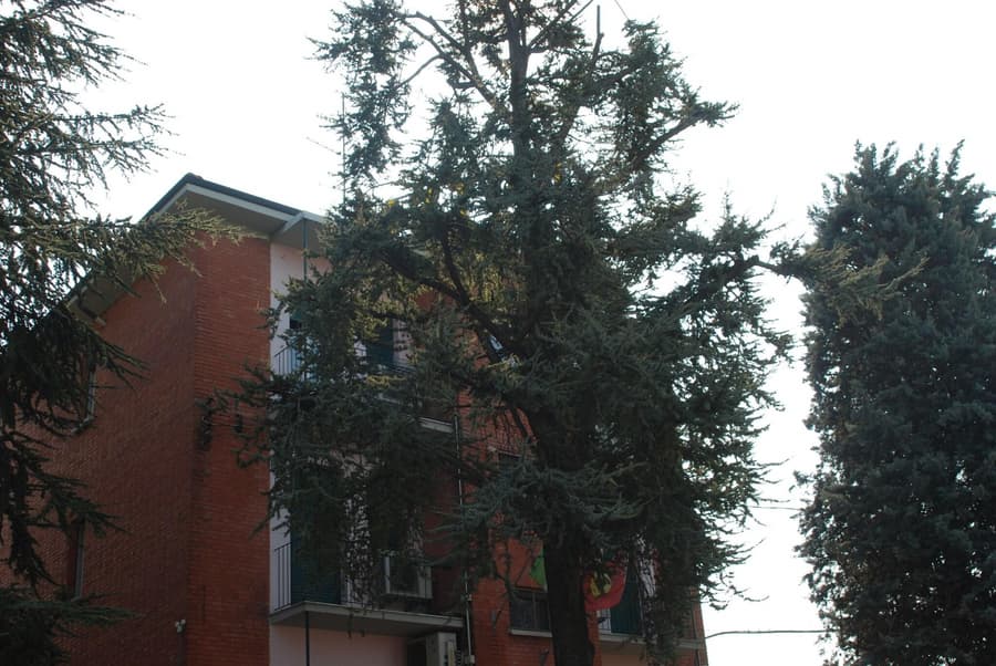 Hotel Tuscolano