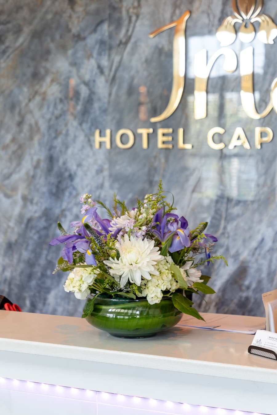 Iris Hotel-Cape Cod- Falmouth