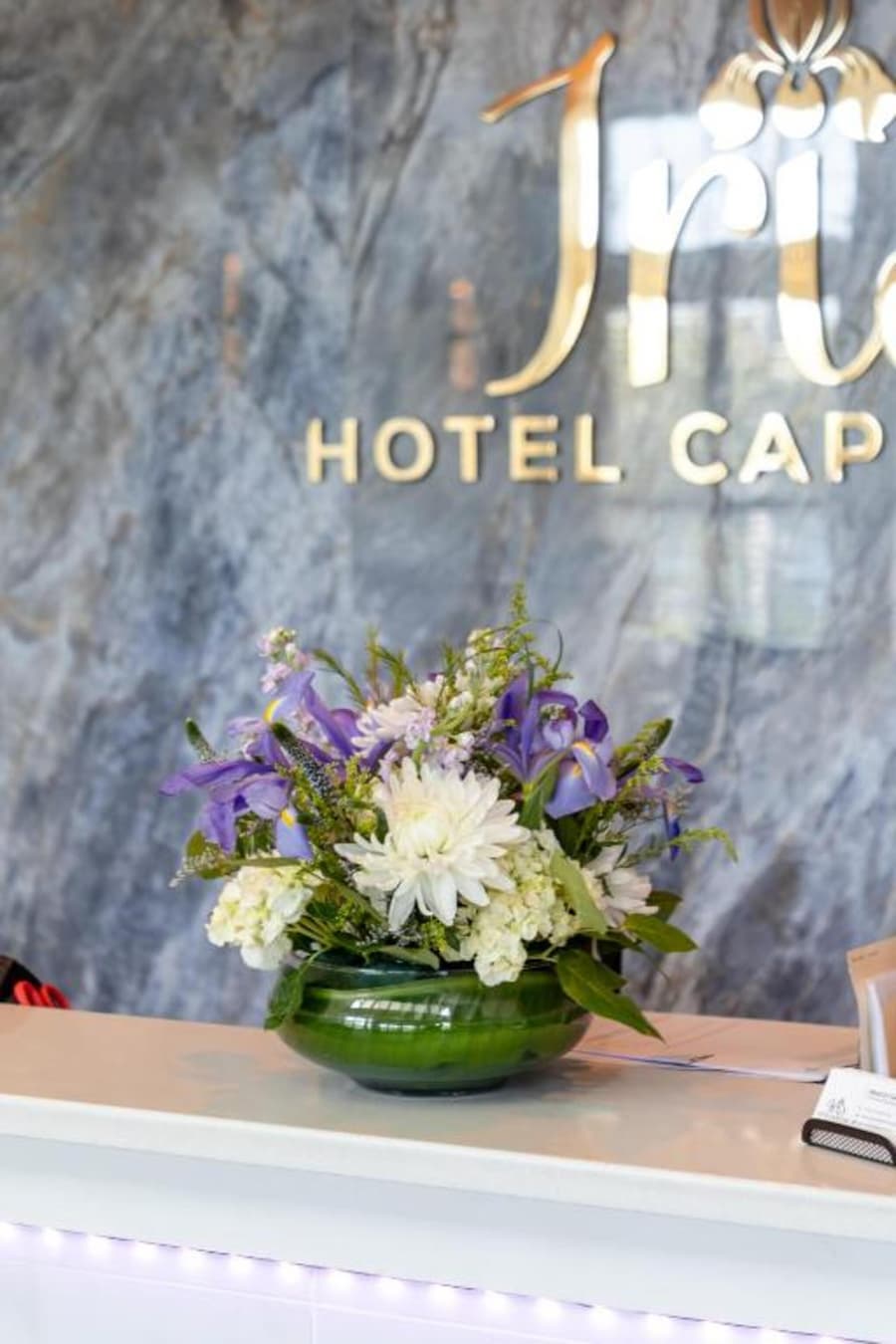 Iris Hotel-Cape Cod- Falmouth