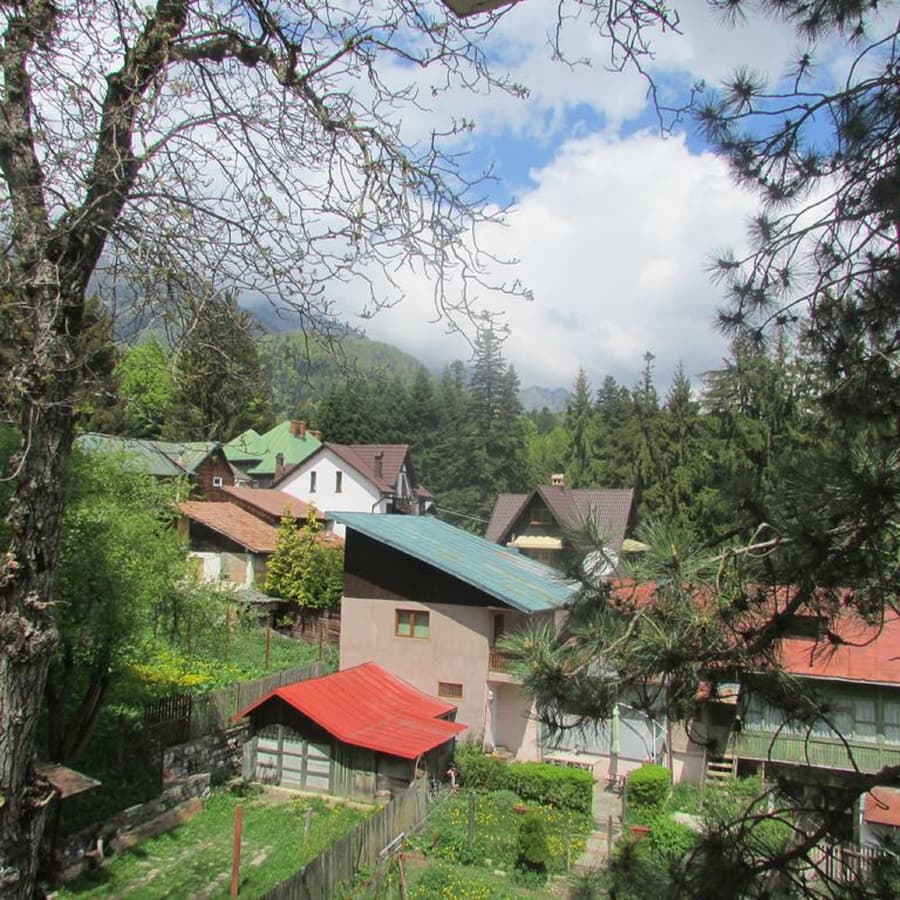 Marea Neagra Sinaia