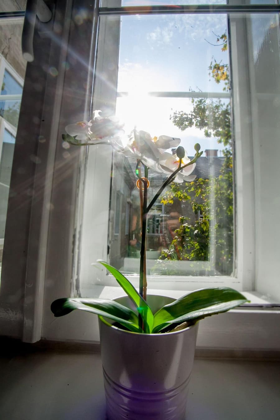 Zagreb City Vibe Apartments Rooms