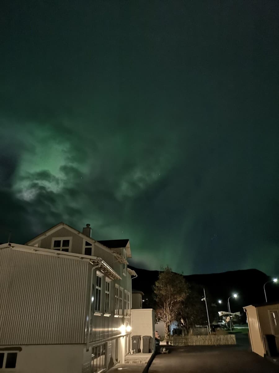 Puffin Hotel Vík